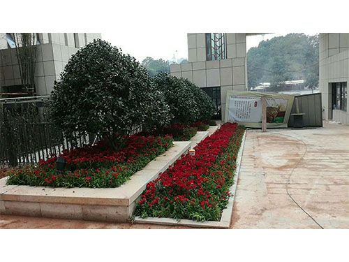 別墅園林施工 (12)